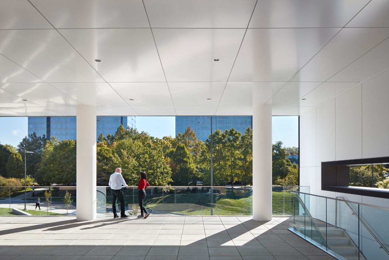 Law building's terrace during the day