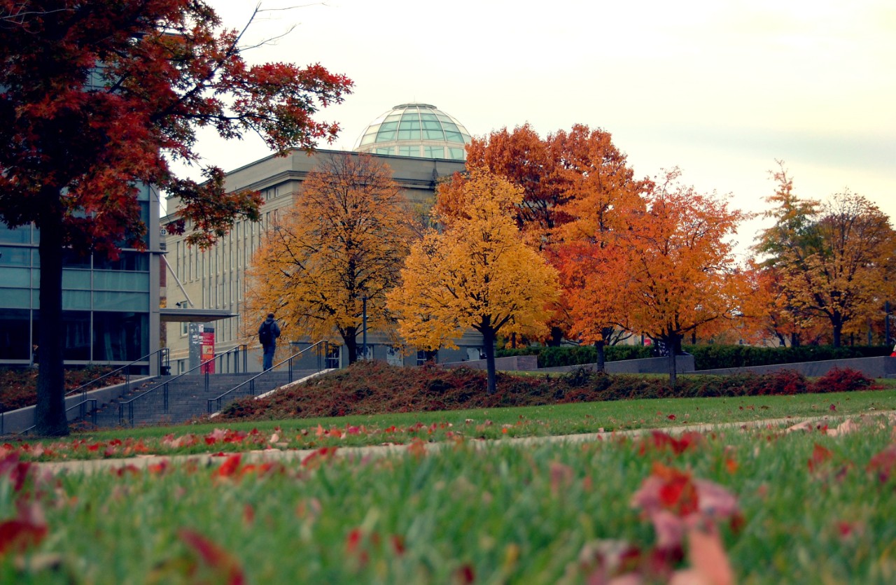 Fall colorful trees behind Van Wormer Hall