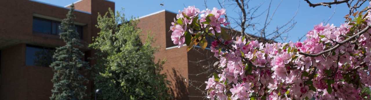 The College of Law building in Spring.